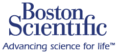 Logo Boston