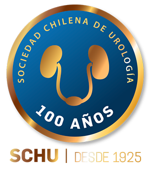 Aval Chile